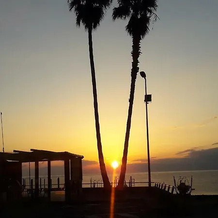 Delle Palme *